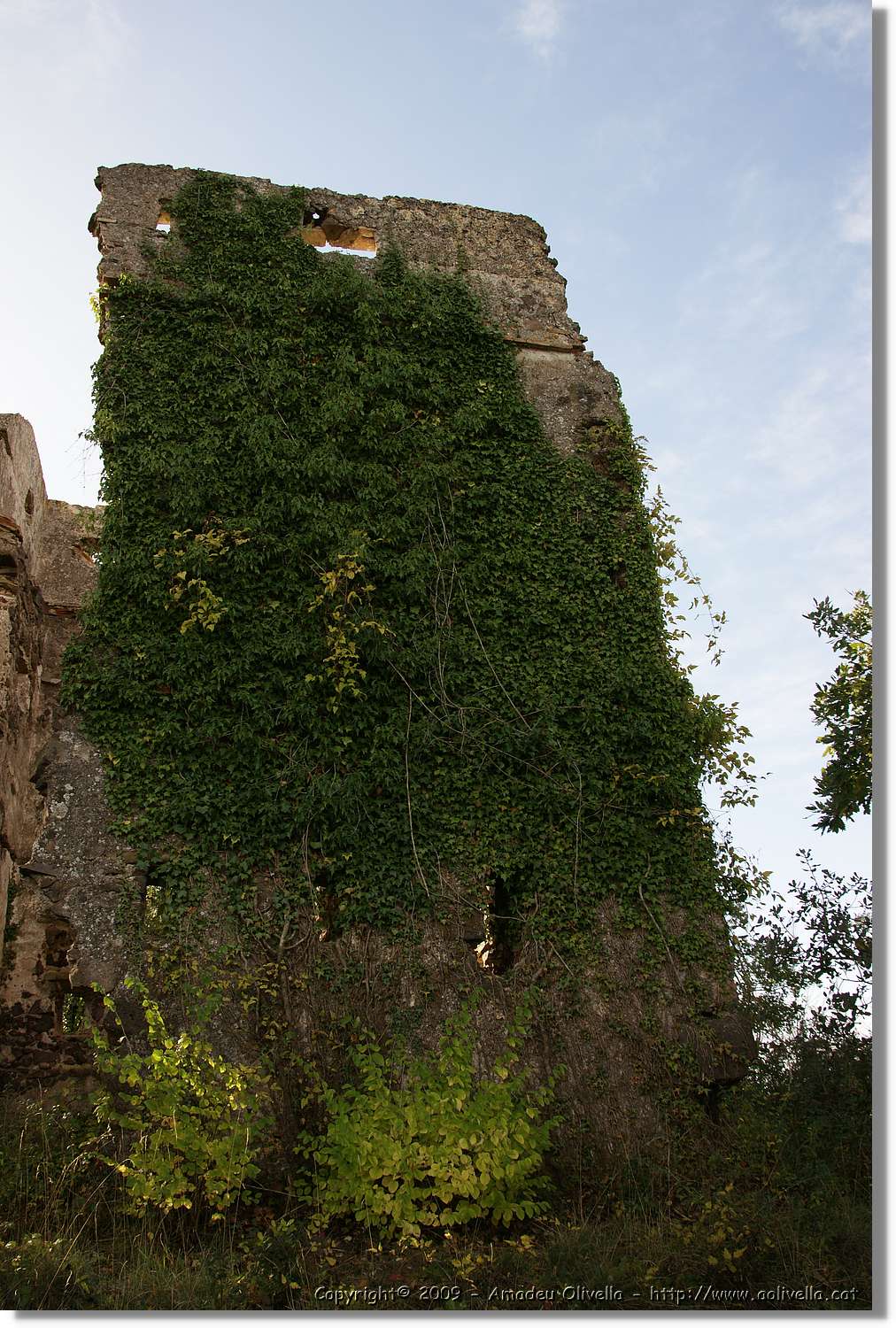 Garrotxa_052.jpg