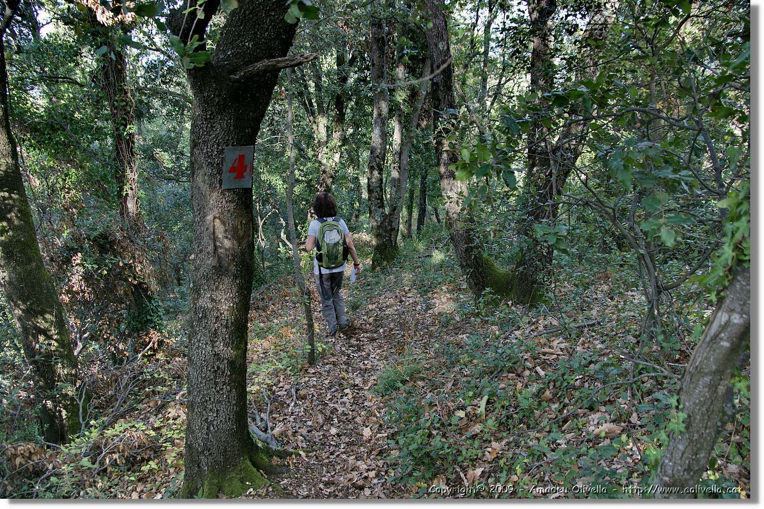 Garrotxa_058.jpg