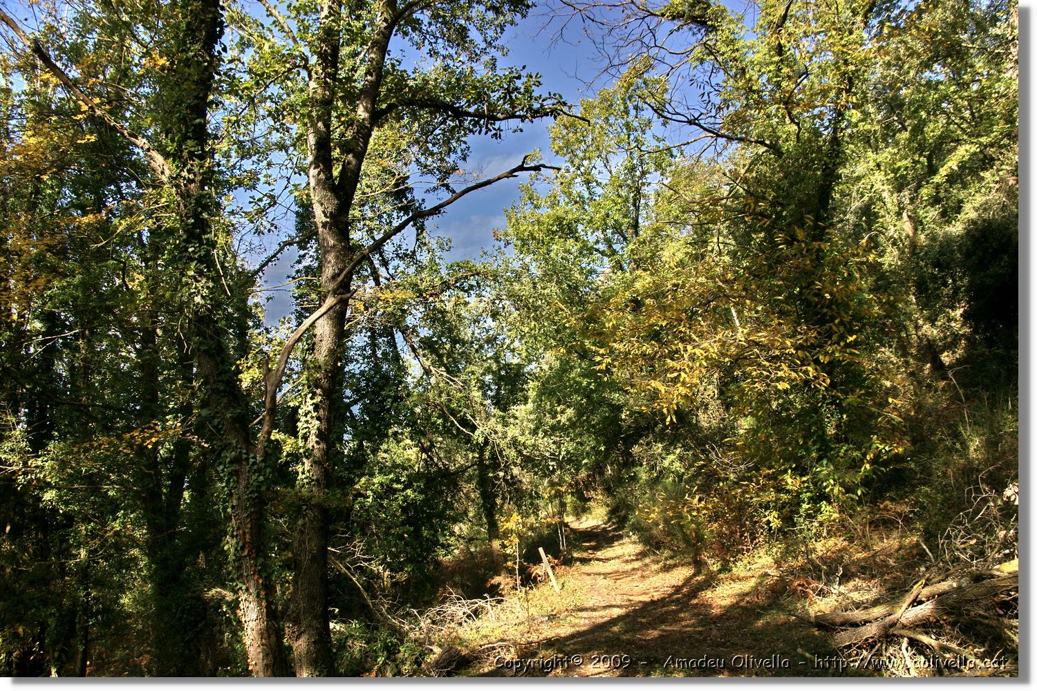Garrotxa_063.jpg
