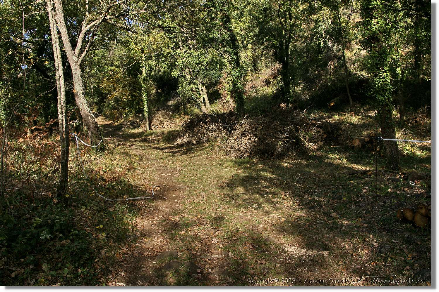 Garrotxa_064.jpg