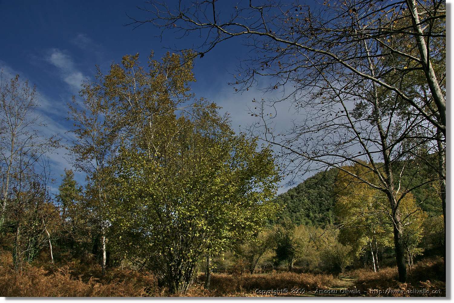 Garrotxa_067.jpg