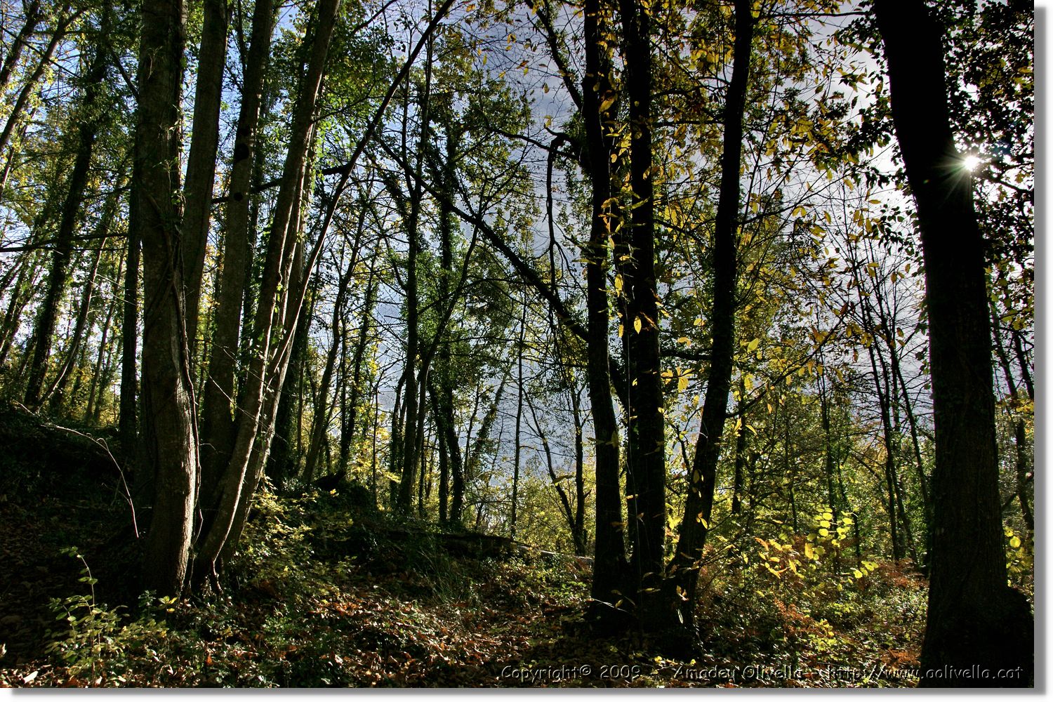 Garrotxa_077.jpg
