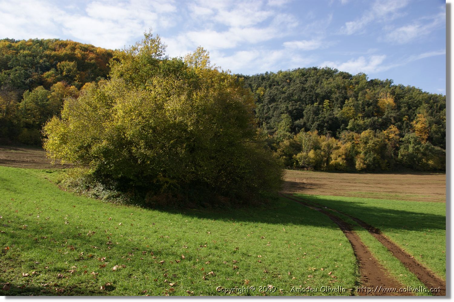 Garrotxa_080.jpg