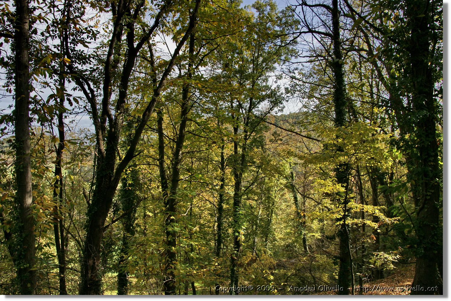 Garrotxa_085.jpg