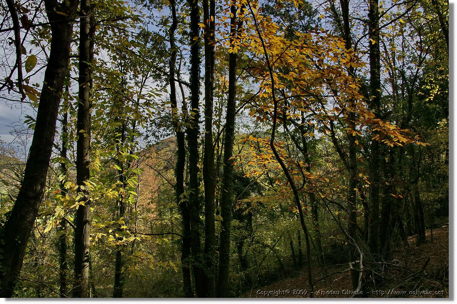 Garrotxa_086.jpg