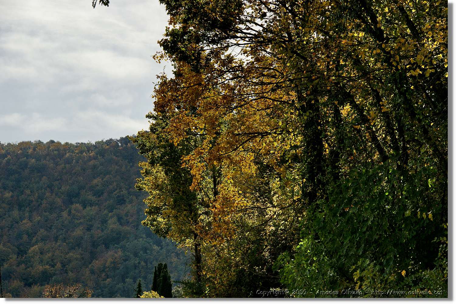 Garrotxa_089.jpg