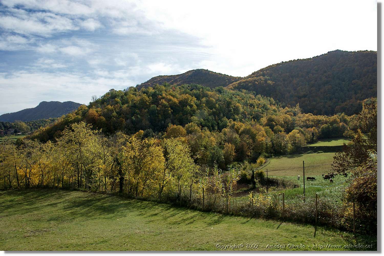 Garrotxa_099.jpg