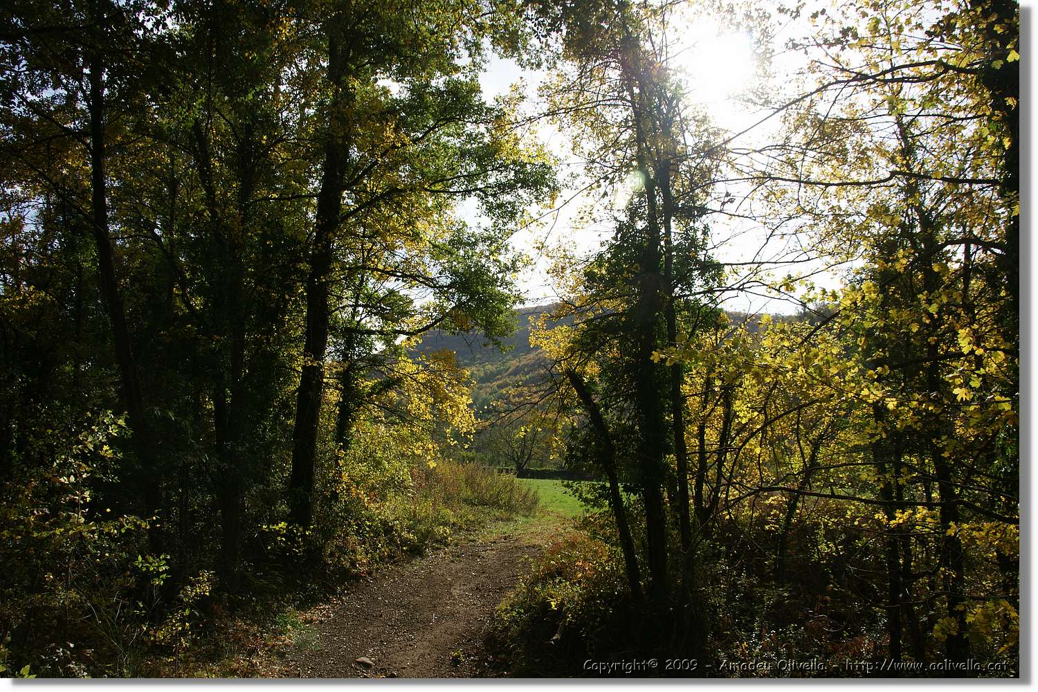 Garrotxa_113.jpg