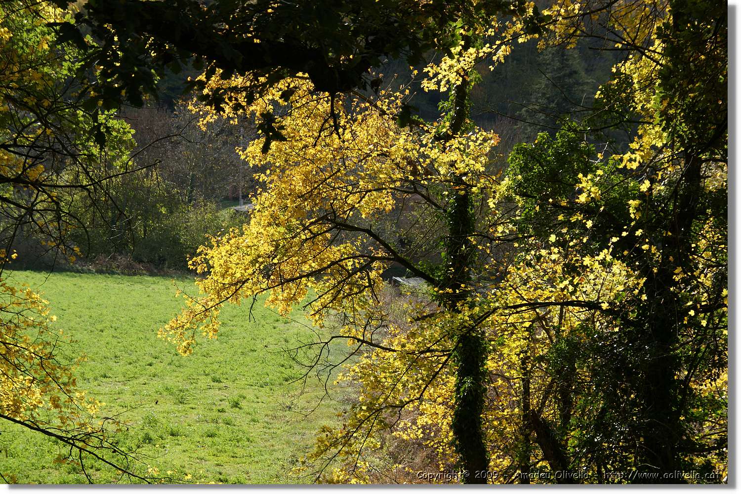 Garrotxa_114.jpg