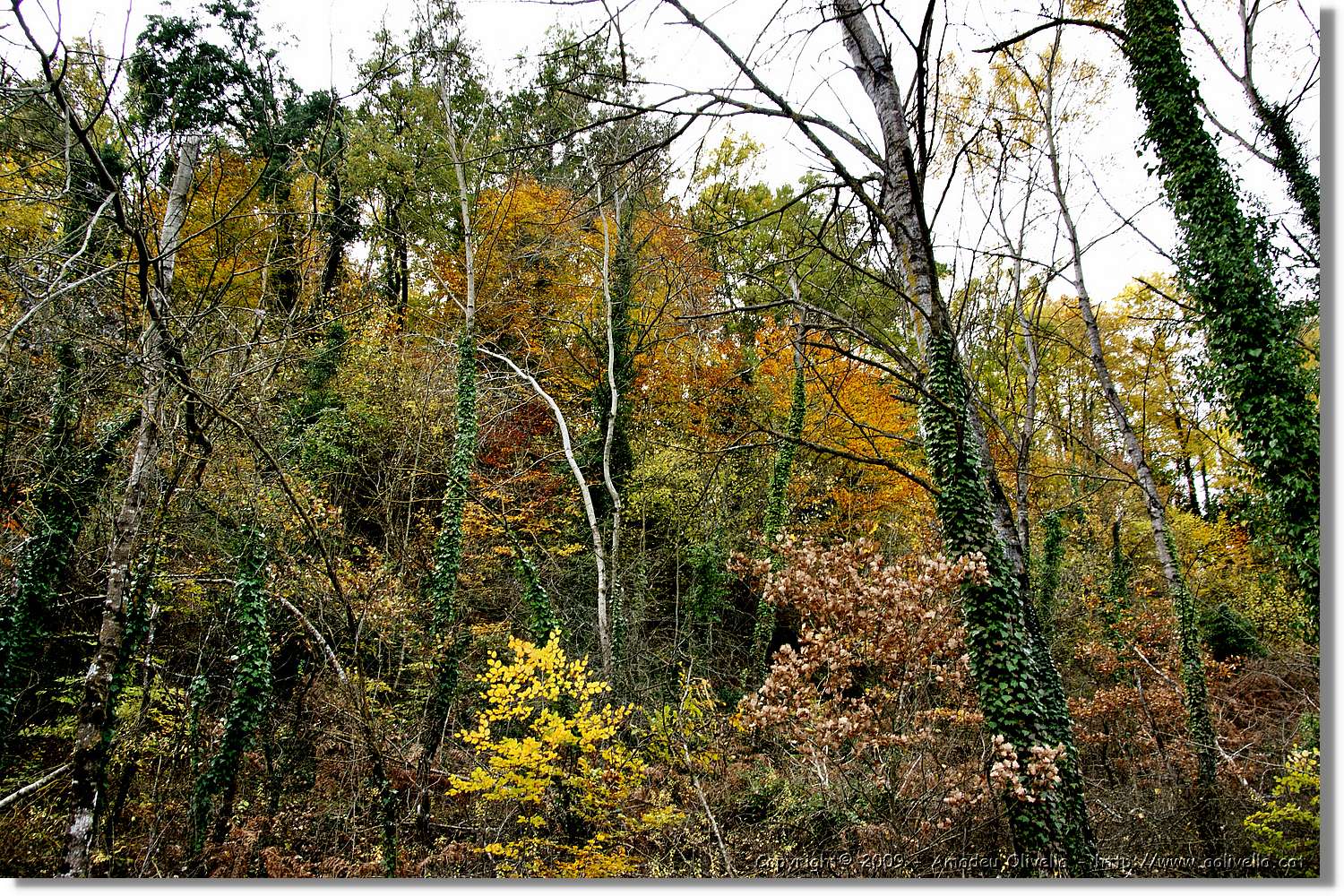 Garrotxa_127.jpg