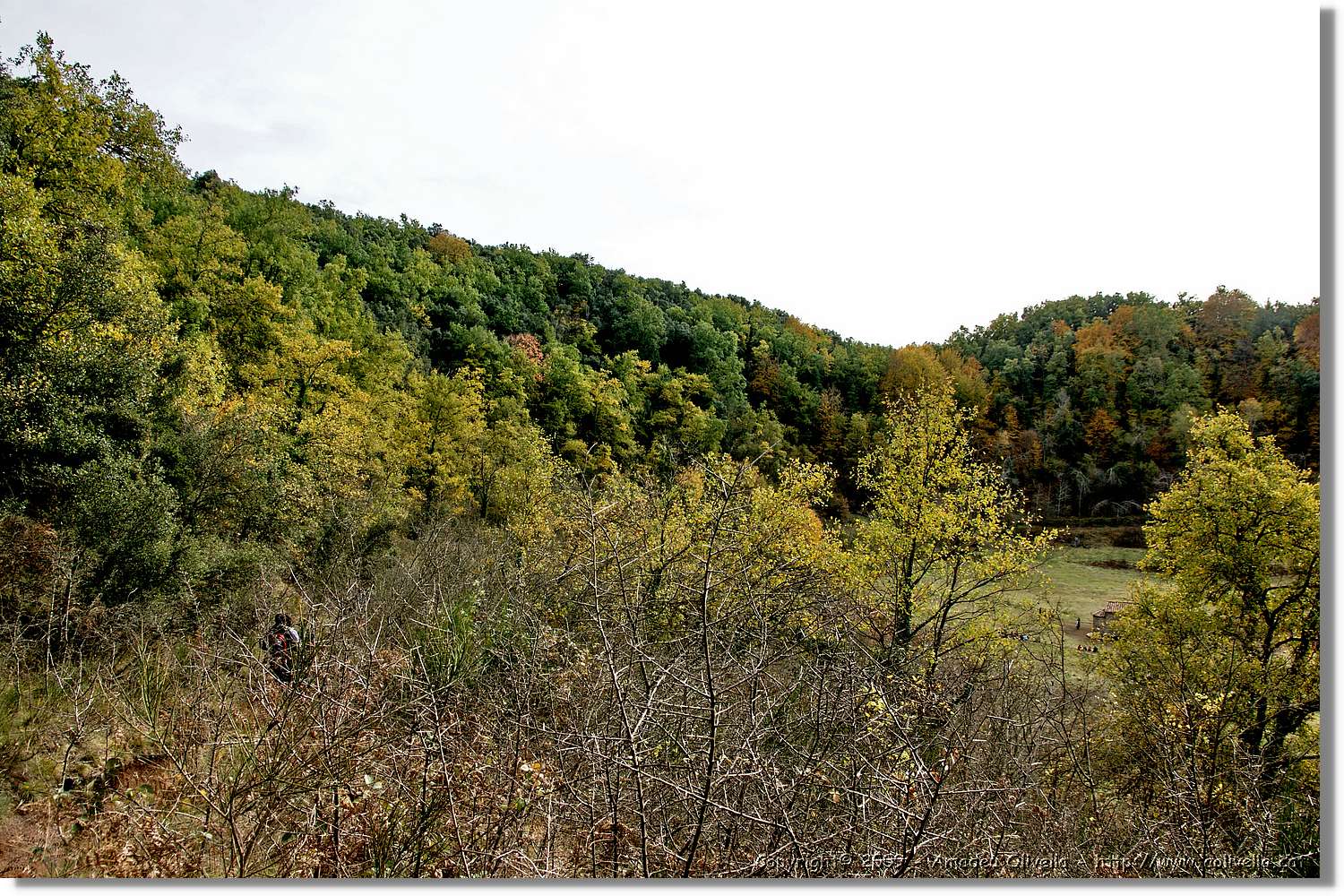 Garrotxa_136.jpg