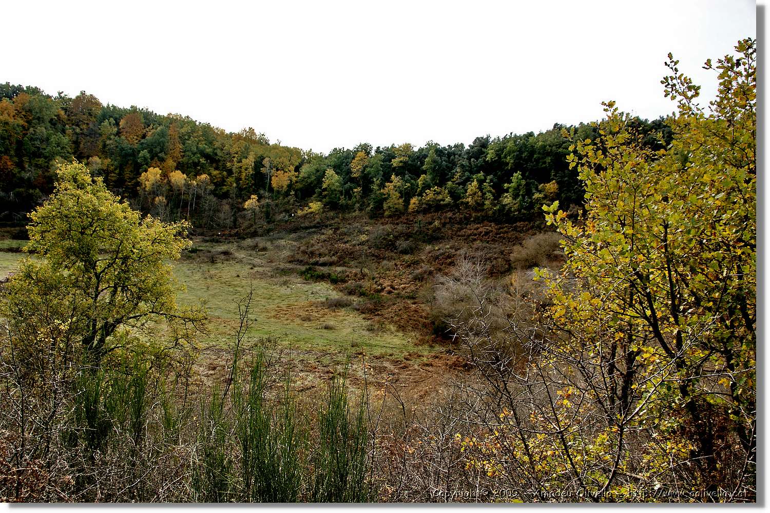 Garrotxa_137.jpg