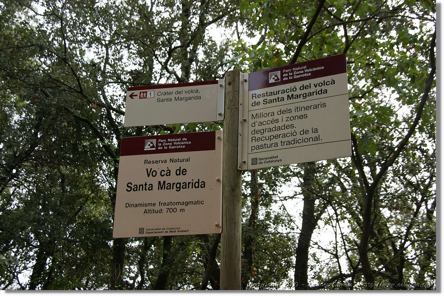 Garrotxa_138.jpg