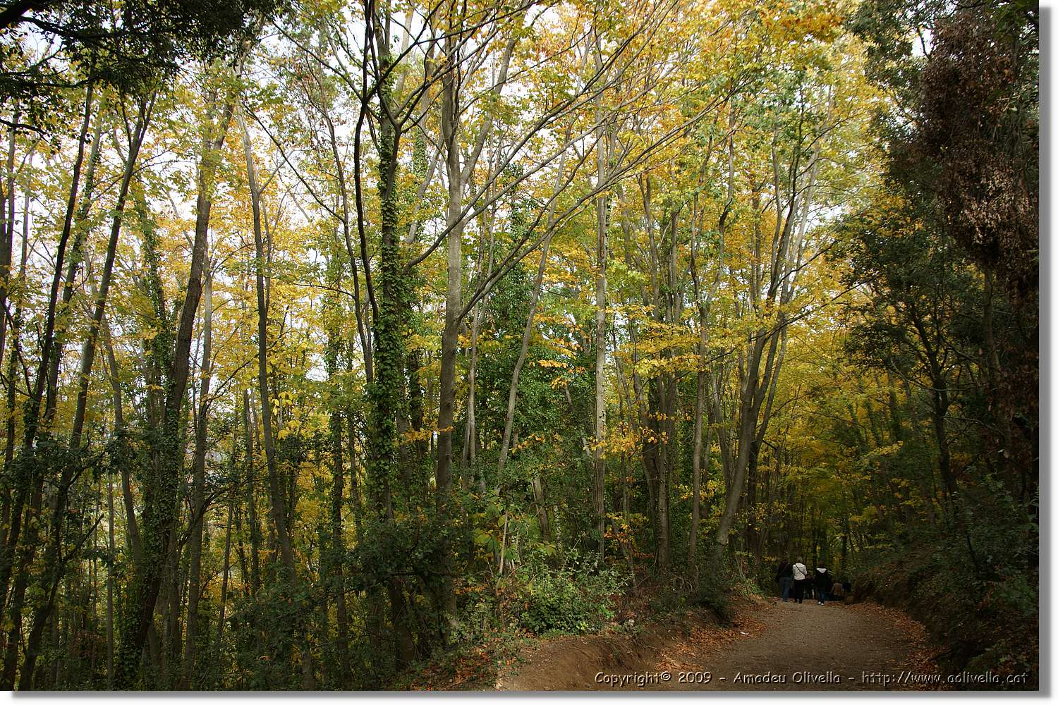 Garrotxa_139.jpg