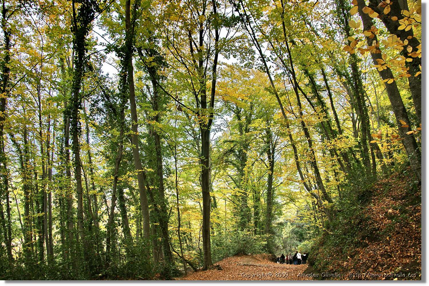 Garrotxa_143.jpg