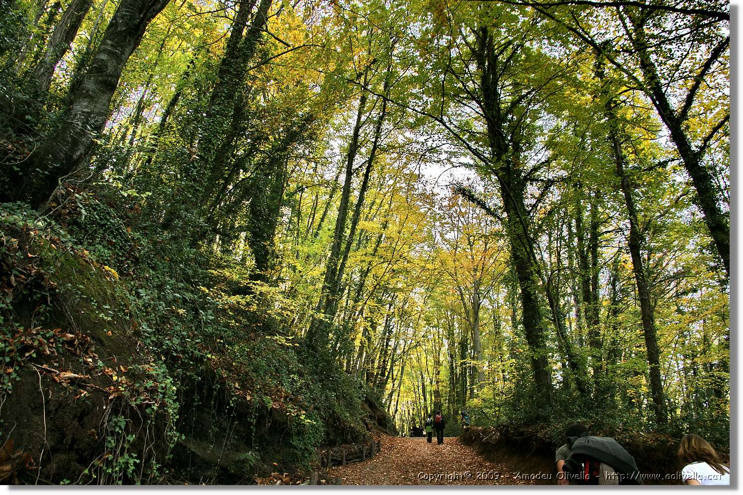 Garrotxa_145.jpg