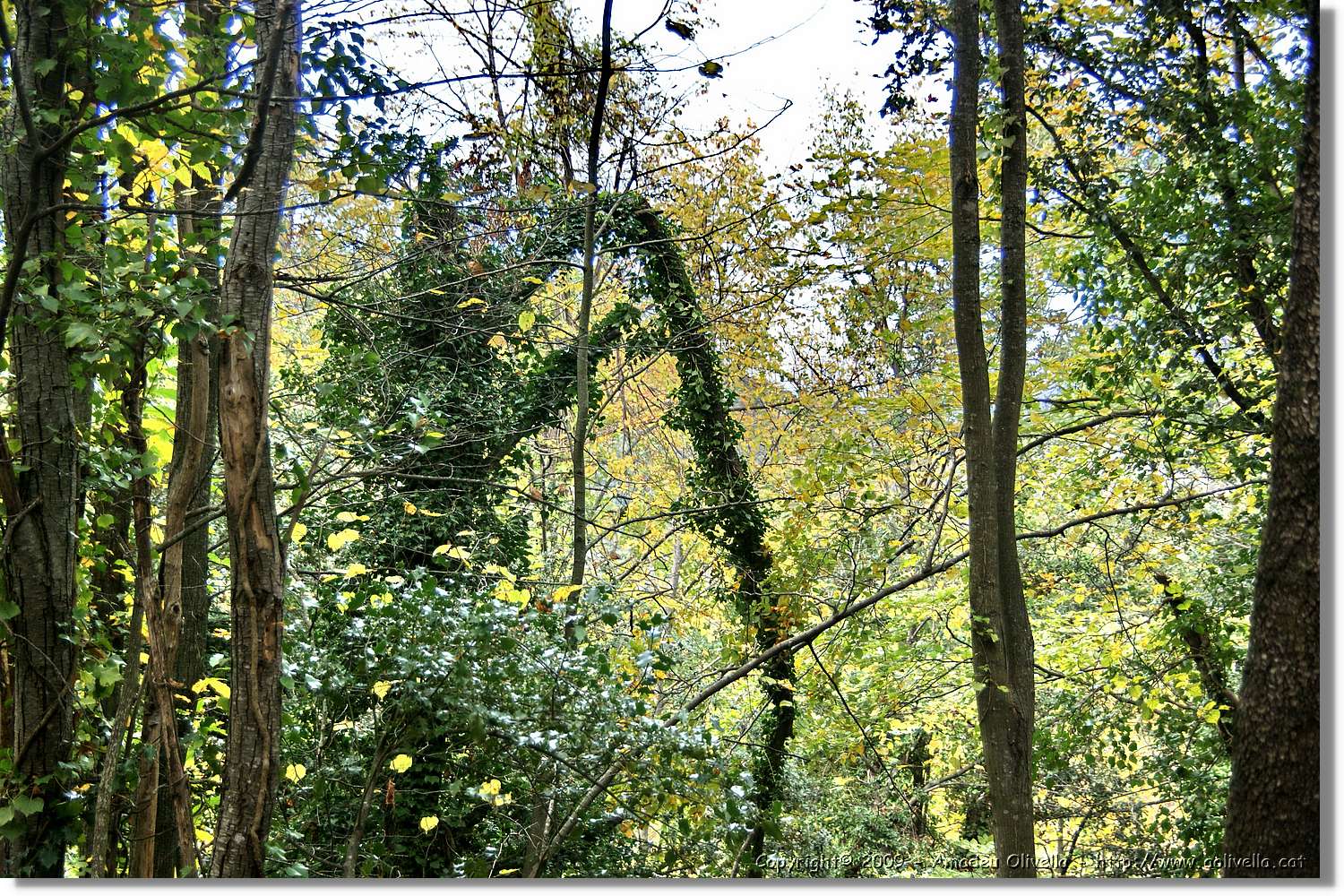 Garrotxa_147.jpg