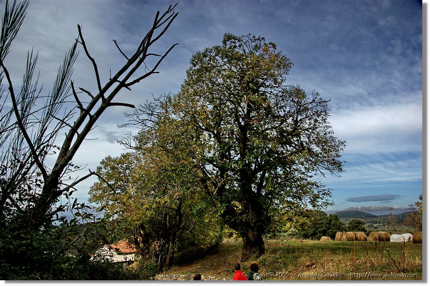 Garrotxa_149.jpg