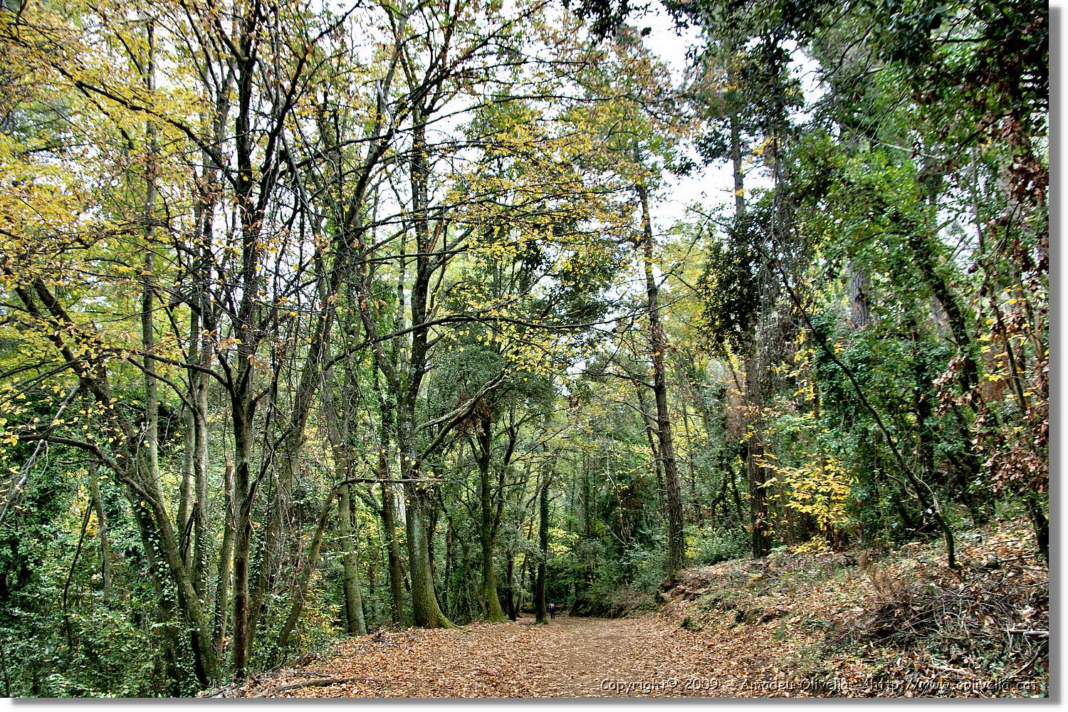 Garrotxa_158.jpg