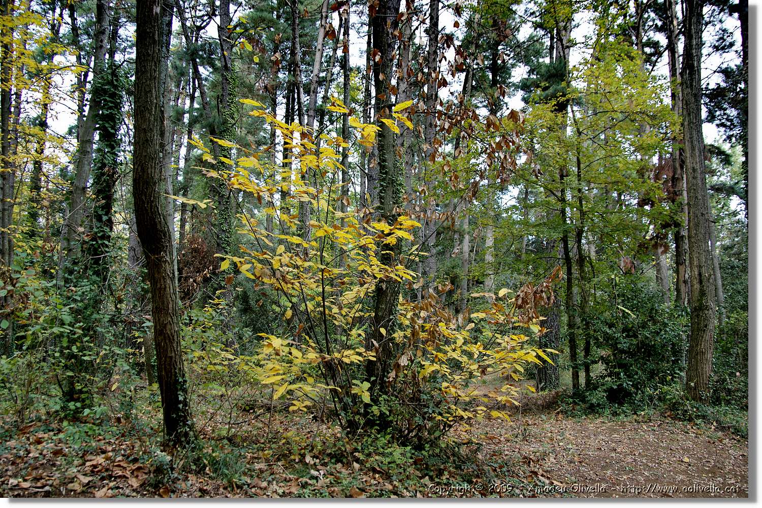 Garrotxa_160.jpg
