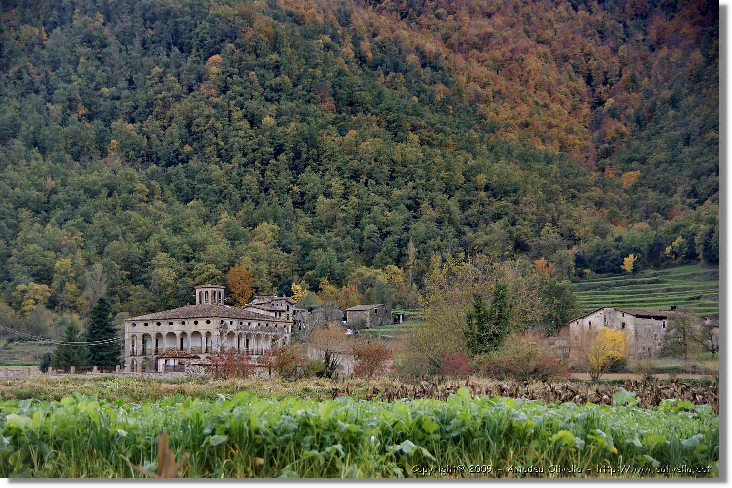 Garrotxa_167.jpg