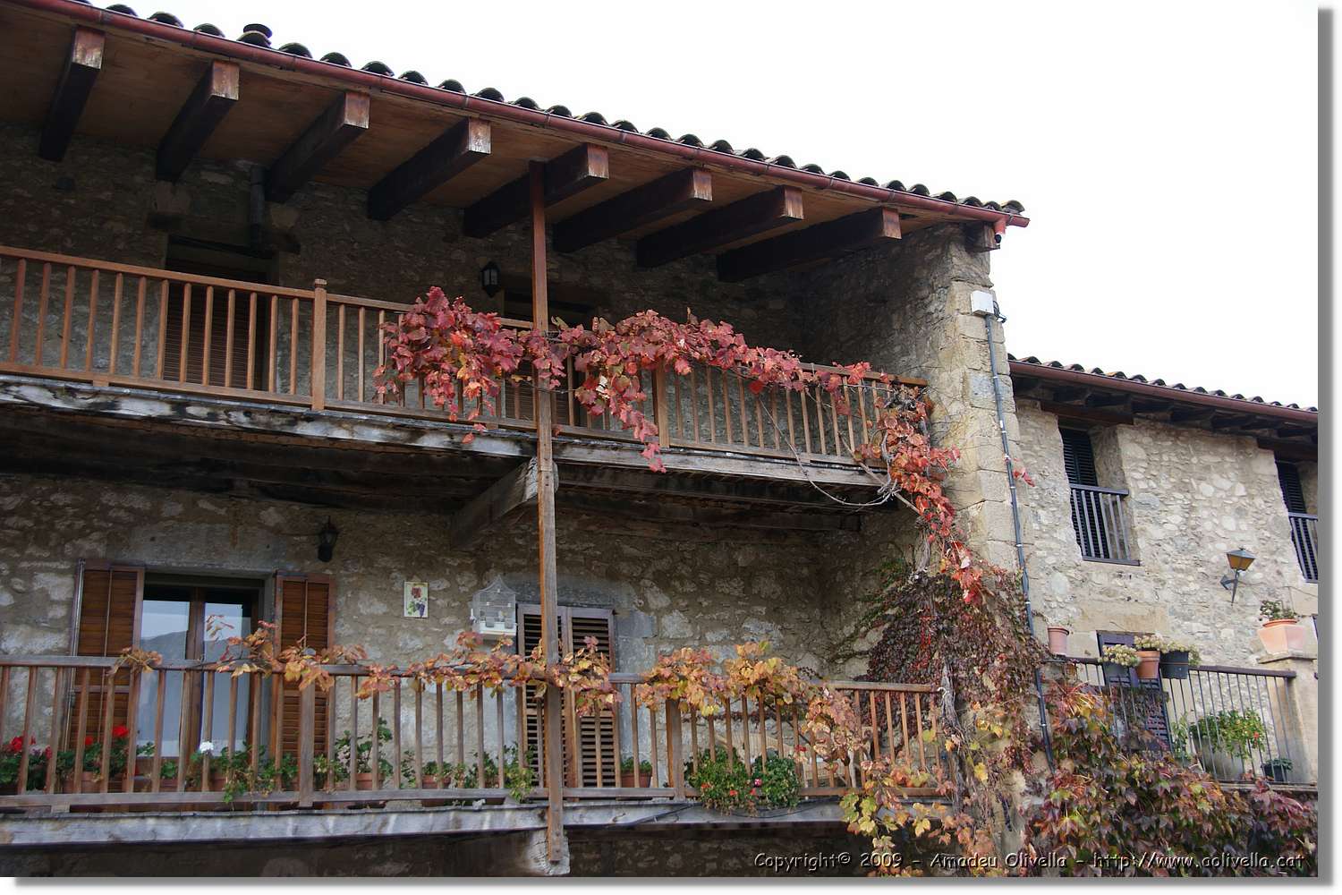 Garrotxa_173.jpg