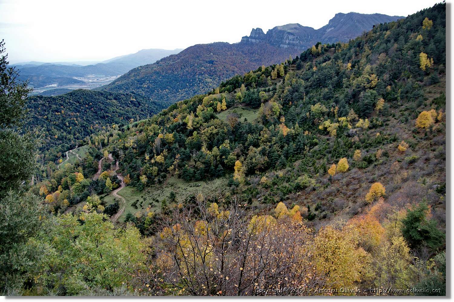 Garrotxa_176.jpg