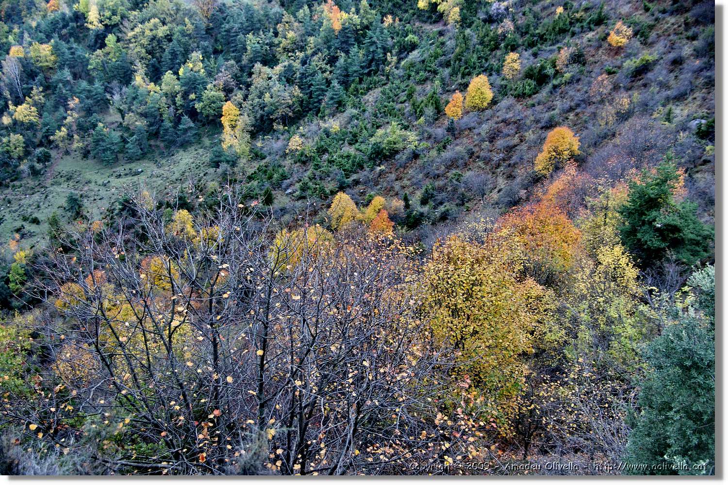 Garrotxa_177.jpg