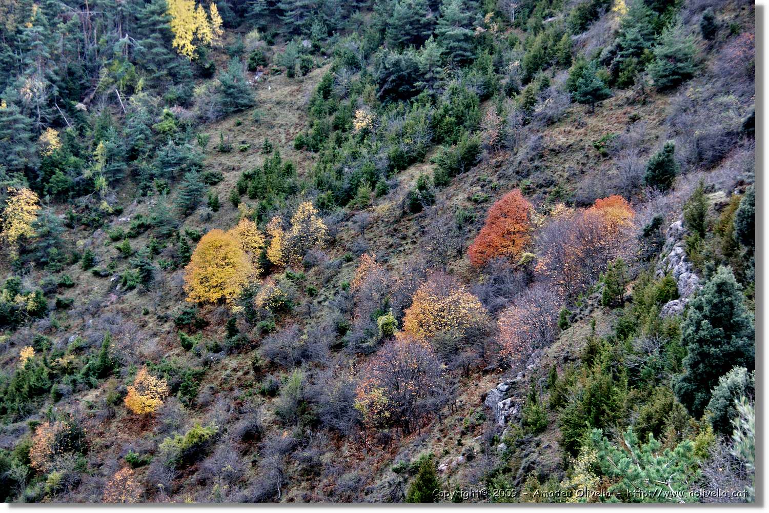Garrotxa_178.jpg
