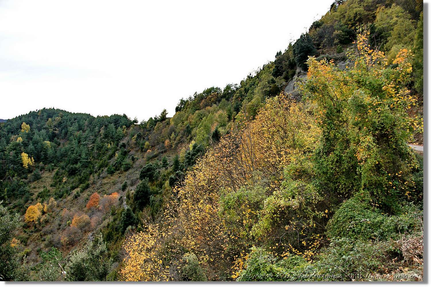 Garrotxa_179.jpg