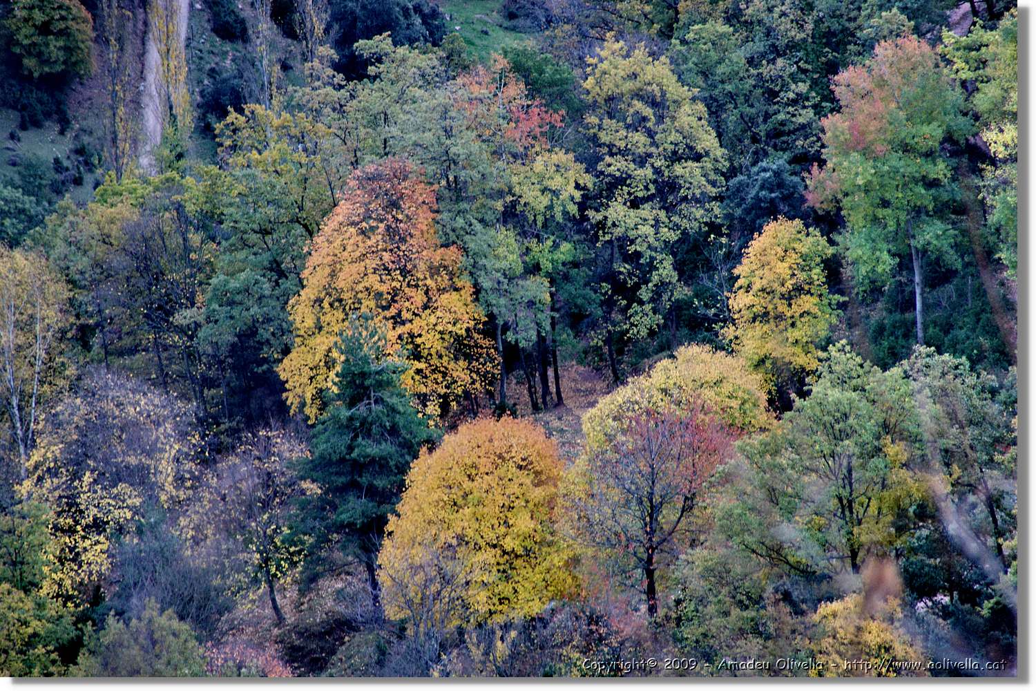 Garrotxa_184.jpg