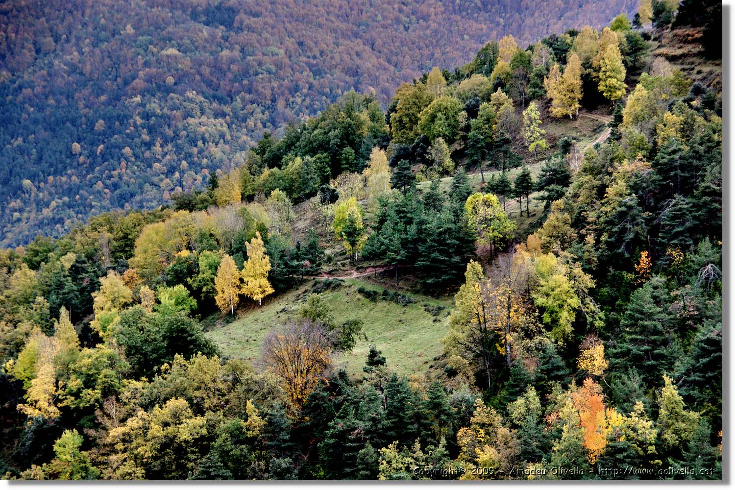 Garrotxa_185.jpg