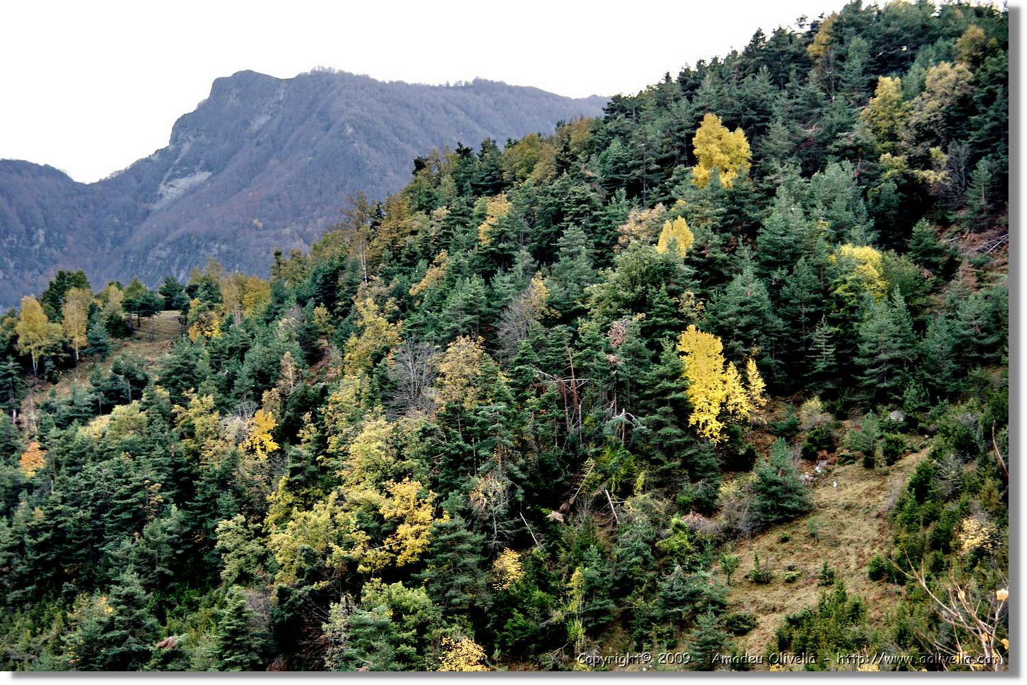 Garrotxa_186.jpg