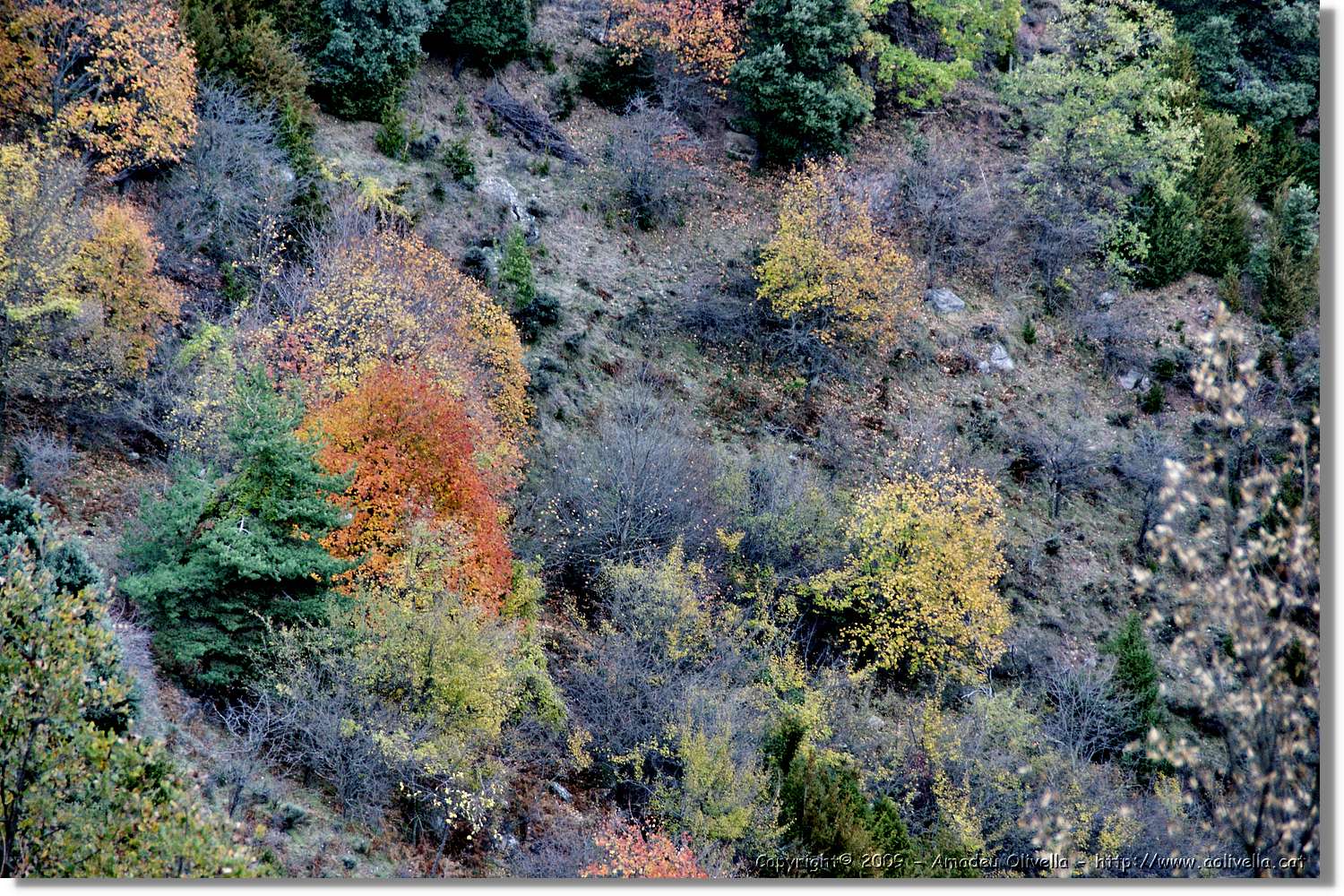 Garrotxa_190.jpg