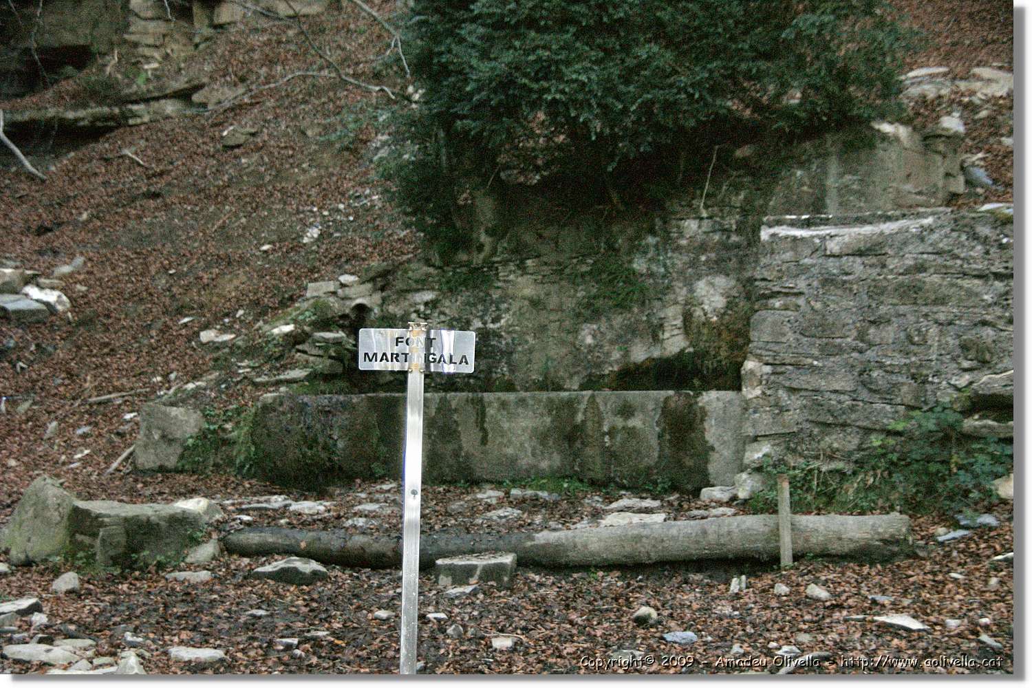 Garrotxa_193.jpg