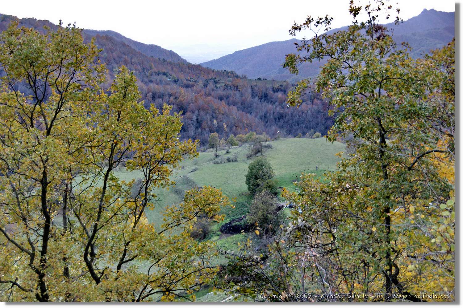Garrotxa_195.jpg