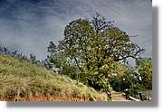 Garrotxa_152.jpg
