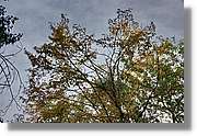 Garrotxa_159.jpg