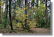 Garrotxa_160.jpg