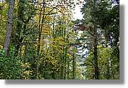 Garrotxa_164.jpg