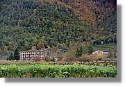 Garrotxa_167.jpg