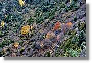 Garrotxa_178.jpg