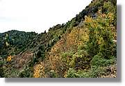 Garrotxa_179.jpg