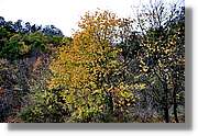 Garrotxa_181.jpg