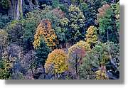 Garrotxa_184.jpg