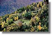 Garrotxa_185.jpg