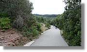 Llorenc_107.jpg