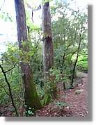 Llorenc_111.jpg