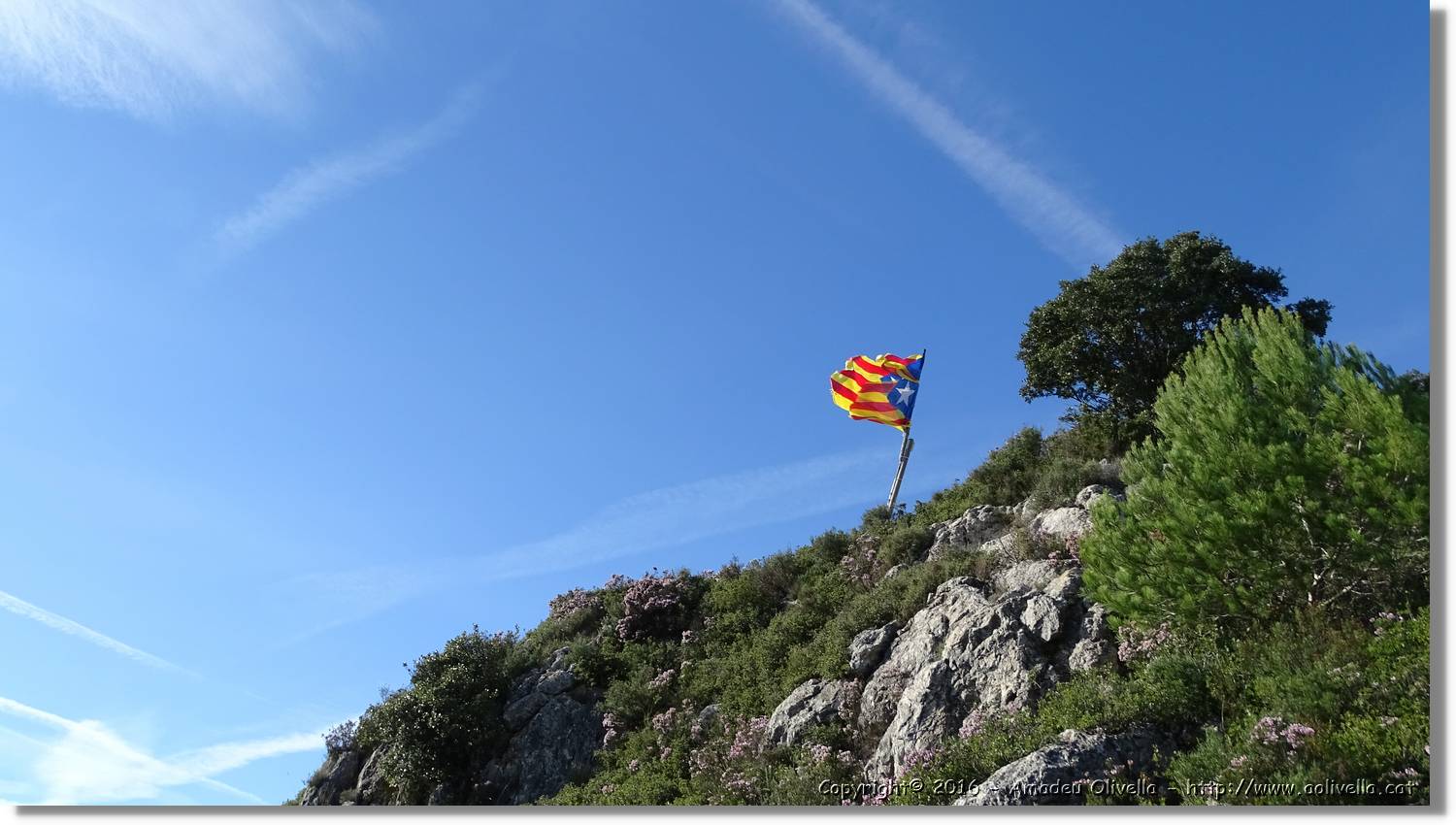 Montmell_067.jpg
