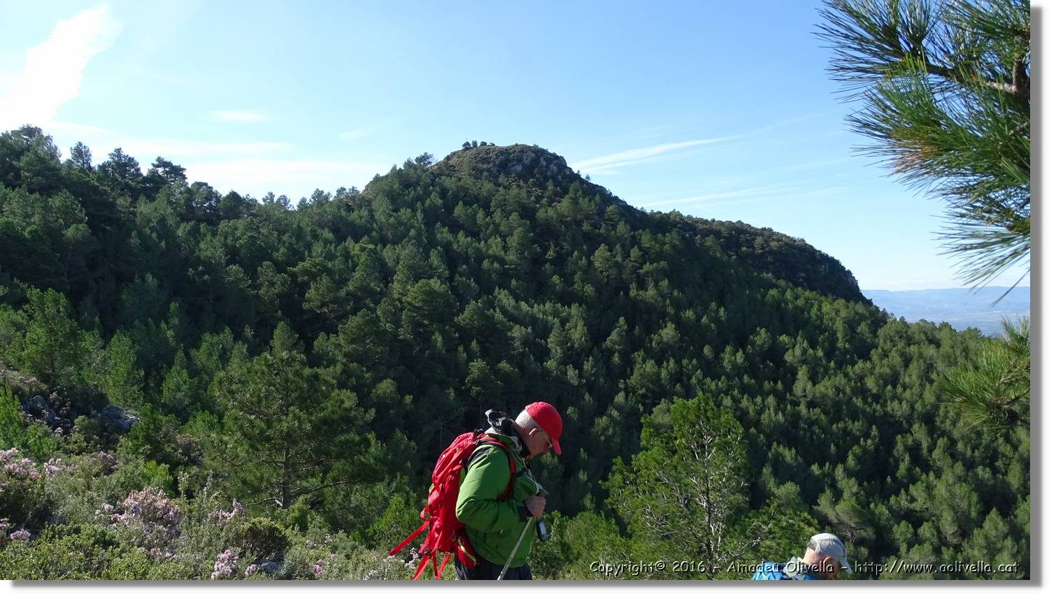 Montmell_068.jpg